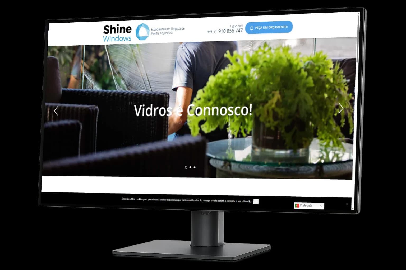 Shine Windows